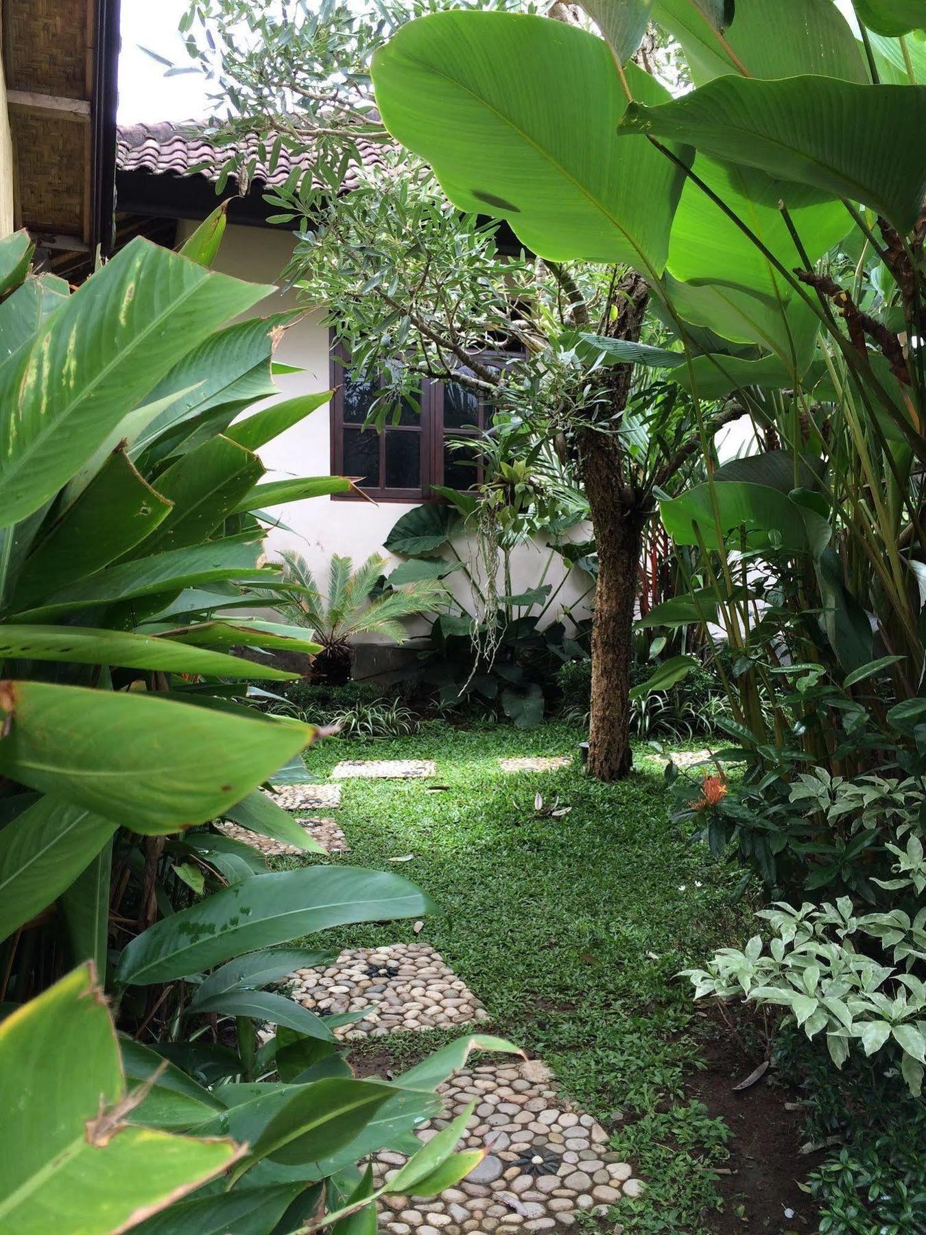 Uma Dewi Guest House Ubud Kültér fotó